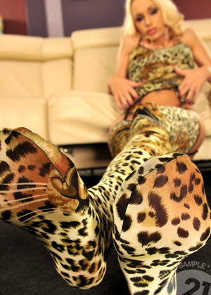 Panther Stockings
