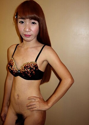 Helloladyboy Model