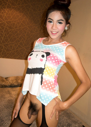 Ladyboysfuckedbareback Model