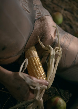 Corn Cob