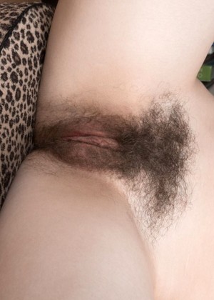 Wearehairy Model