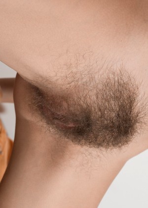 Wearehairy Model