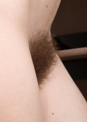 Wearehairy Model