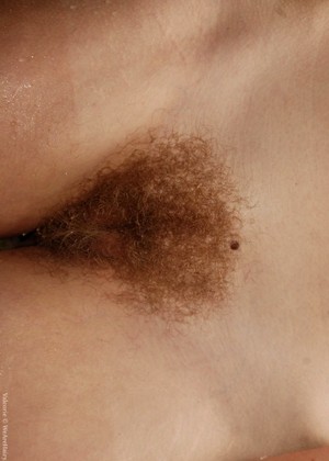 Wearehairy Model