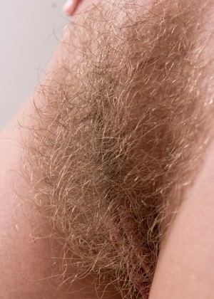 Wearehairy Model