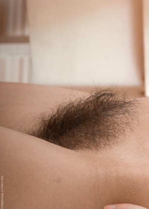 Wearehairy Model