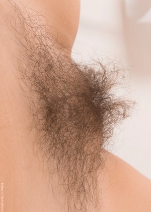 Wearehairy Model