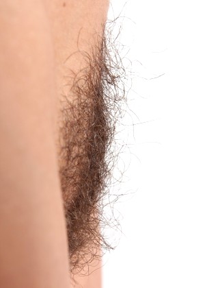 Wearehairy Model